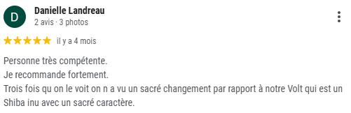 Avis-3-educateur-canin-lons-le-saunier