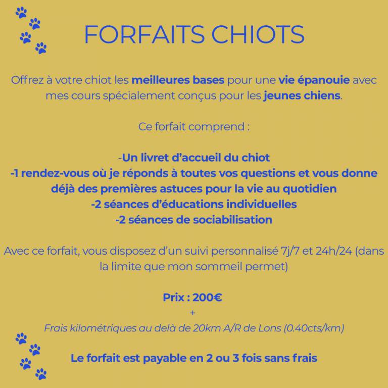 Forfait-chiot-educateur-canin-lons-le-saunier