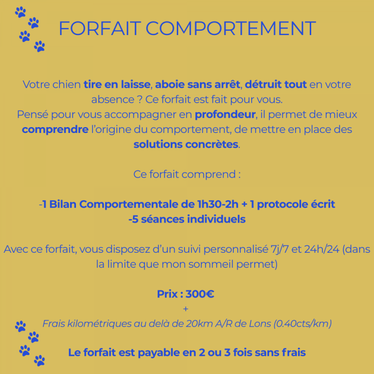 Forfait-comportement-educateur-canin-lons-le-saunier